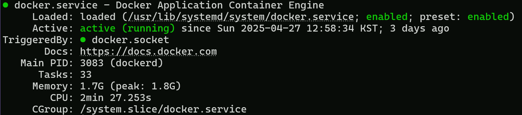 sudo systemctl status docker 결과