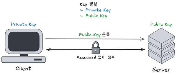 SSH